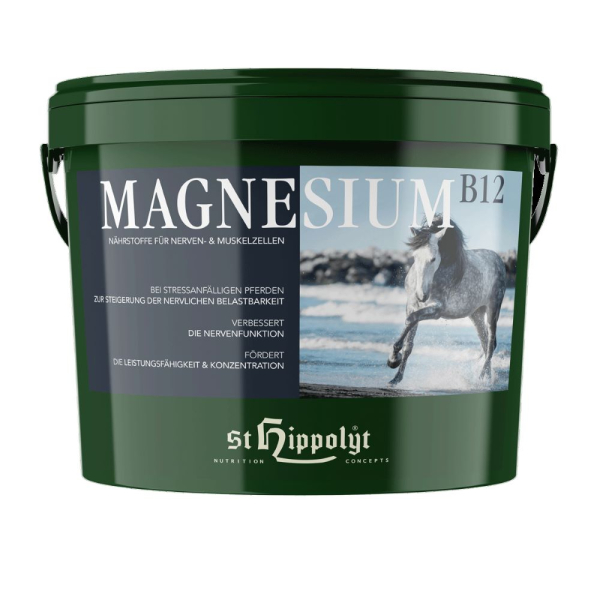 St. Hippolyt Magnesium B12 für Pferde